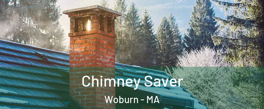  Chimney Saver Woburn - MA