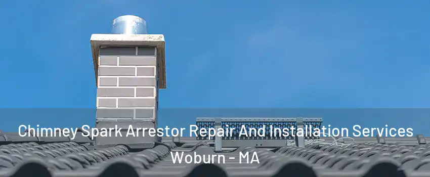  Chimney Spark Arrestor Repair And Installation Services Woburn - MA